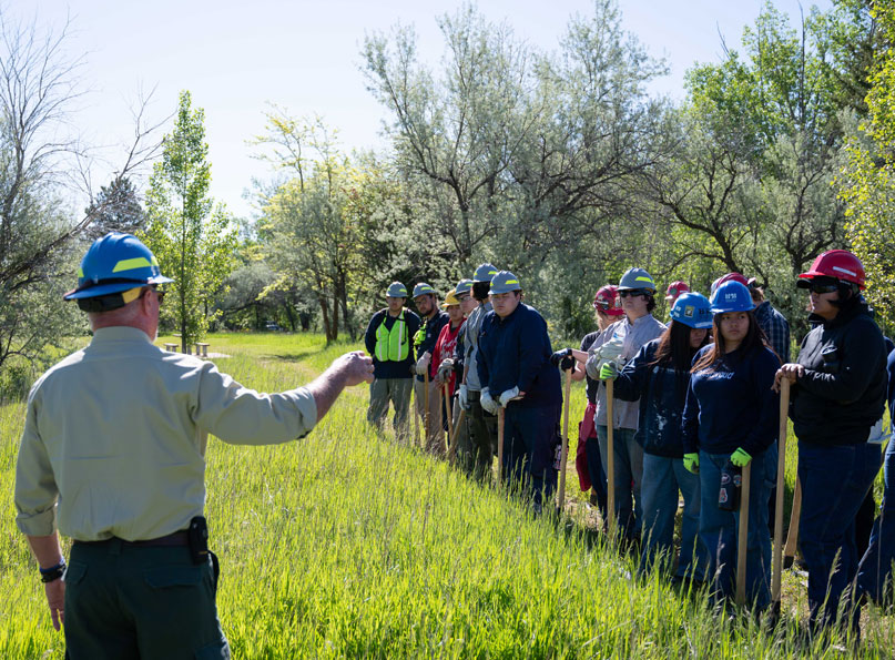 Prepare for a Career in Conservation